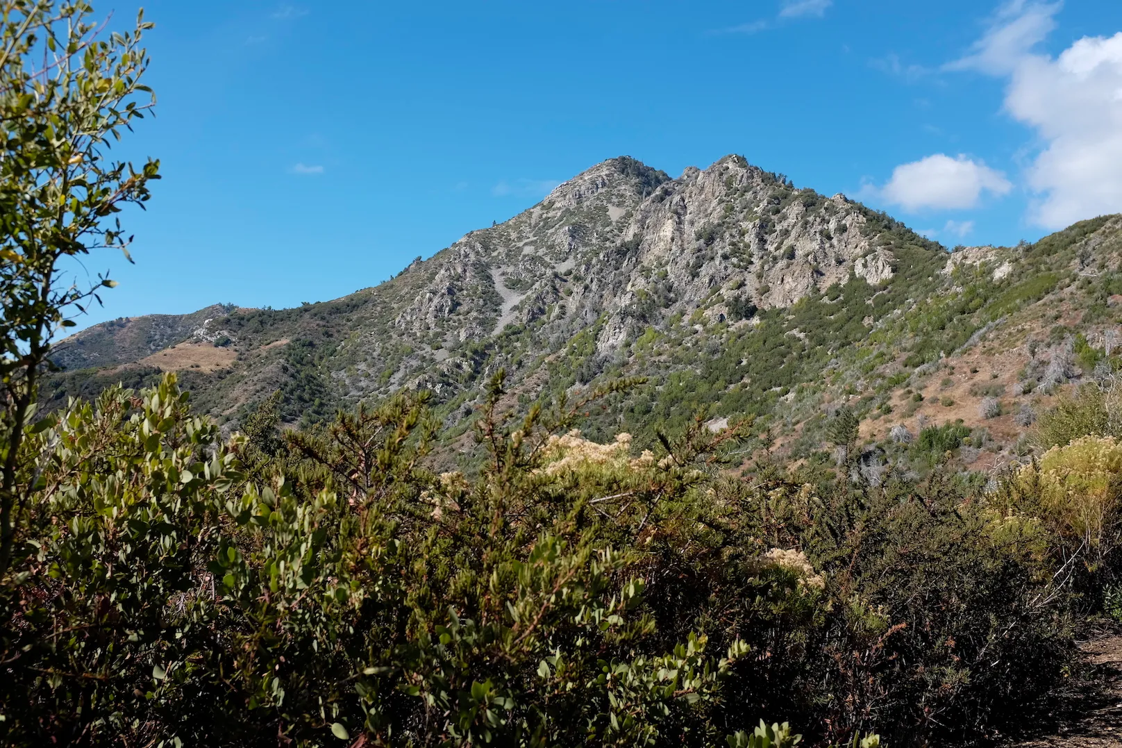 View of Cone Peak