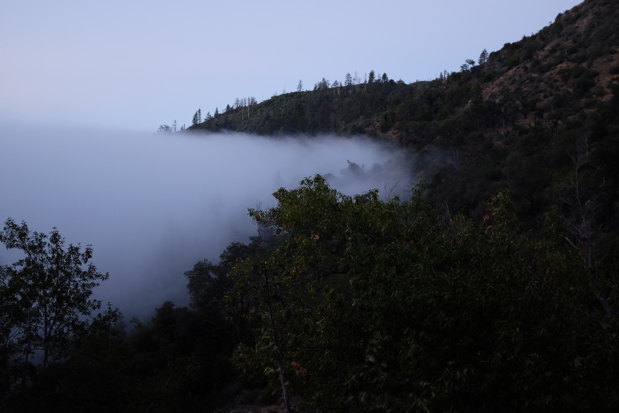 Fog at Goat Camp