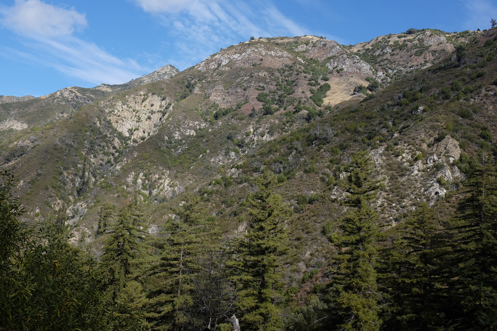 Hiking out on Vicente Flat trail